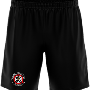 Short d'entrainement QCHB | ADULTE